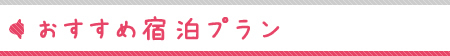 おすすめ宿泊プラン