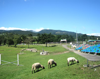 那須那須どうぶつ王国