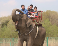 那須ワールドモンキーパーク 