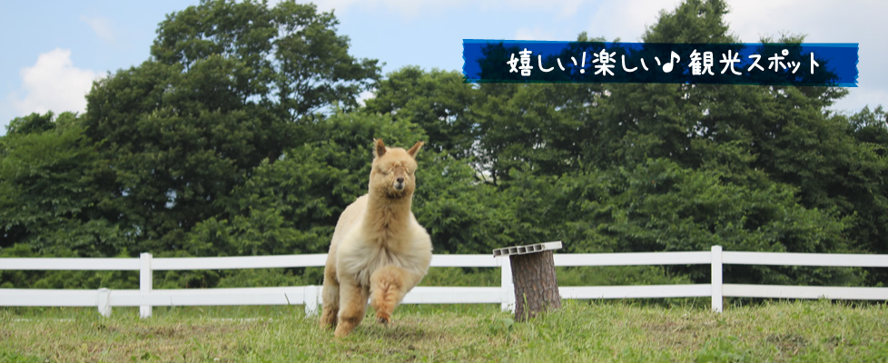 嬉しい！楽しい 観光スポット